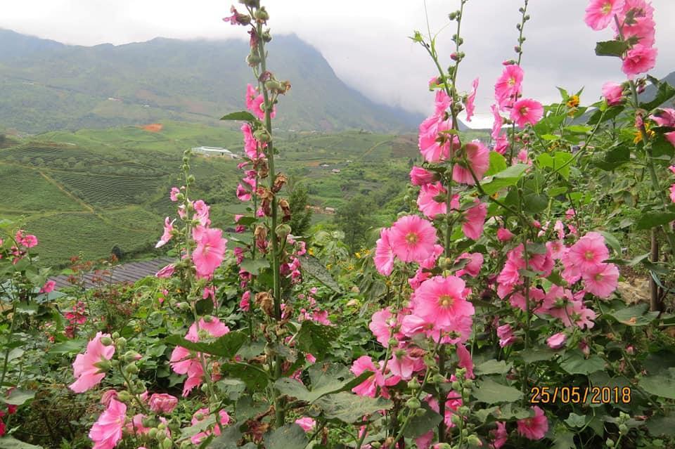 Sapa Dao Homestay Exterior foto