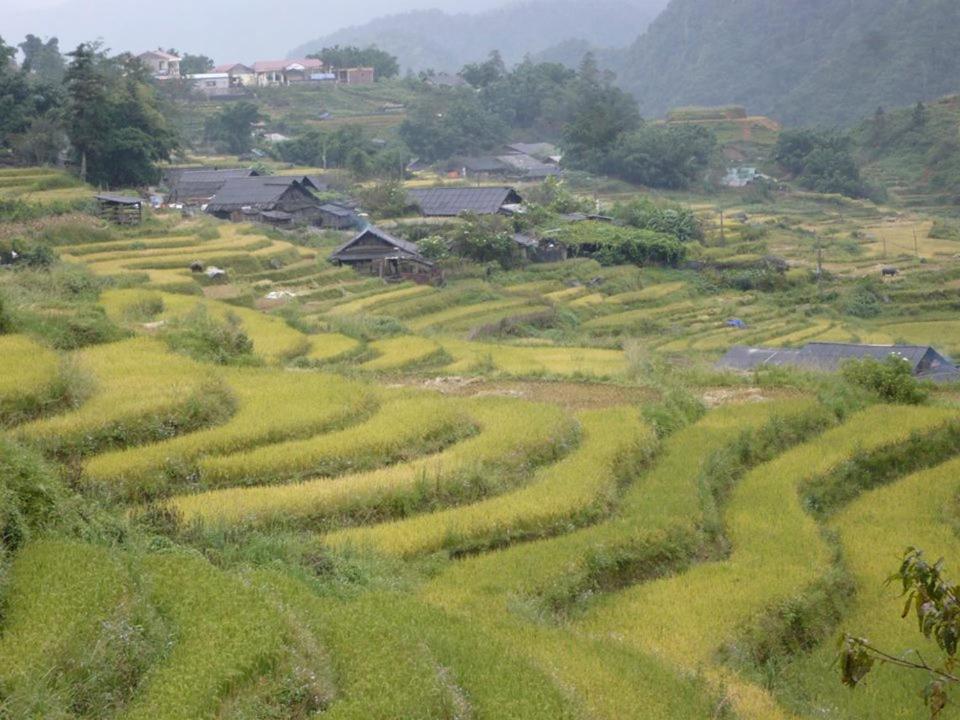 Sapa Dao Homestay Exterior foto