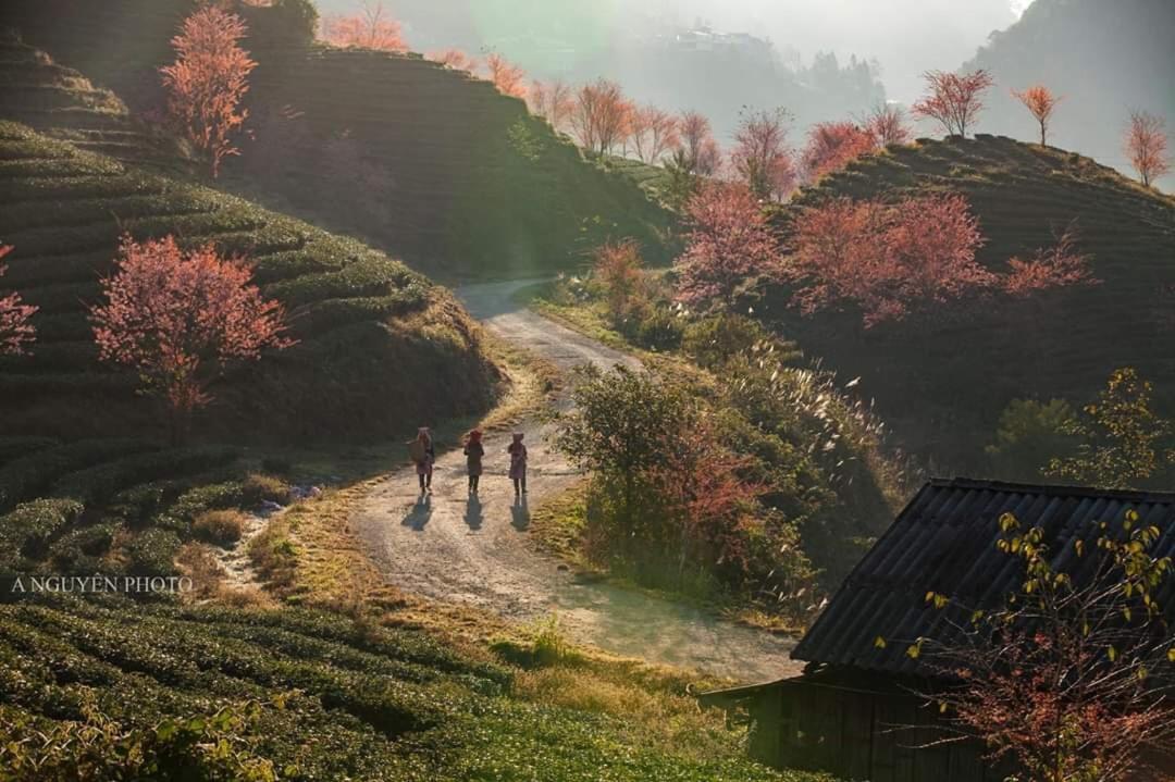 Sapa Dao Homestay Exterior foto